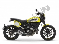 Wszystkie oryginalne i zamienne części do Twojego Ducati Scrambler Flat Track Thailand USA 803 2018.